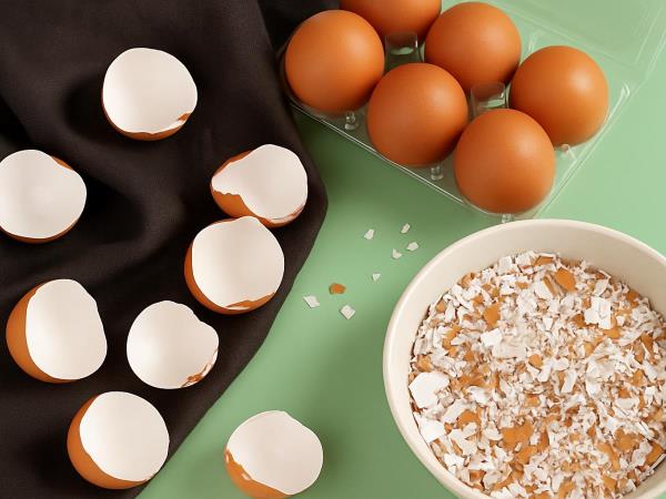 Werfen Sie Eierschalen nicht weg, sondern backen Sie sie lieber